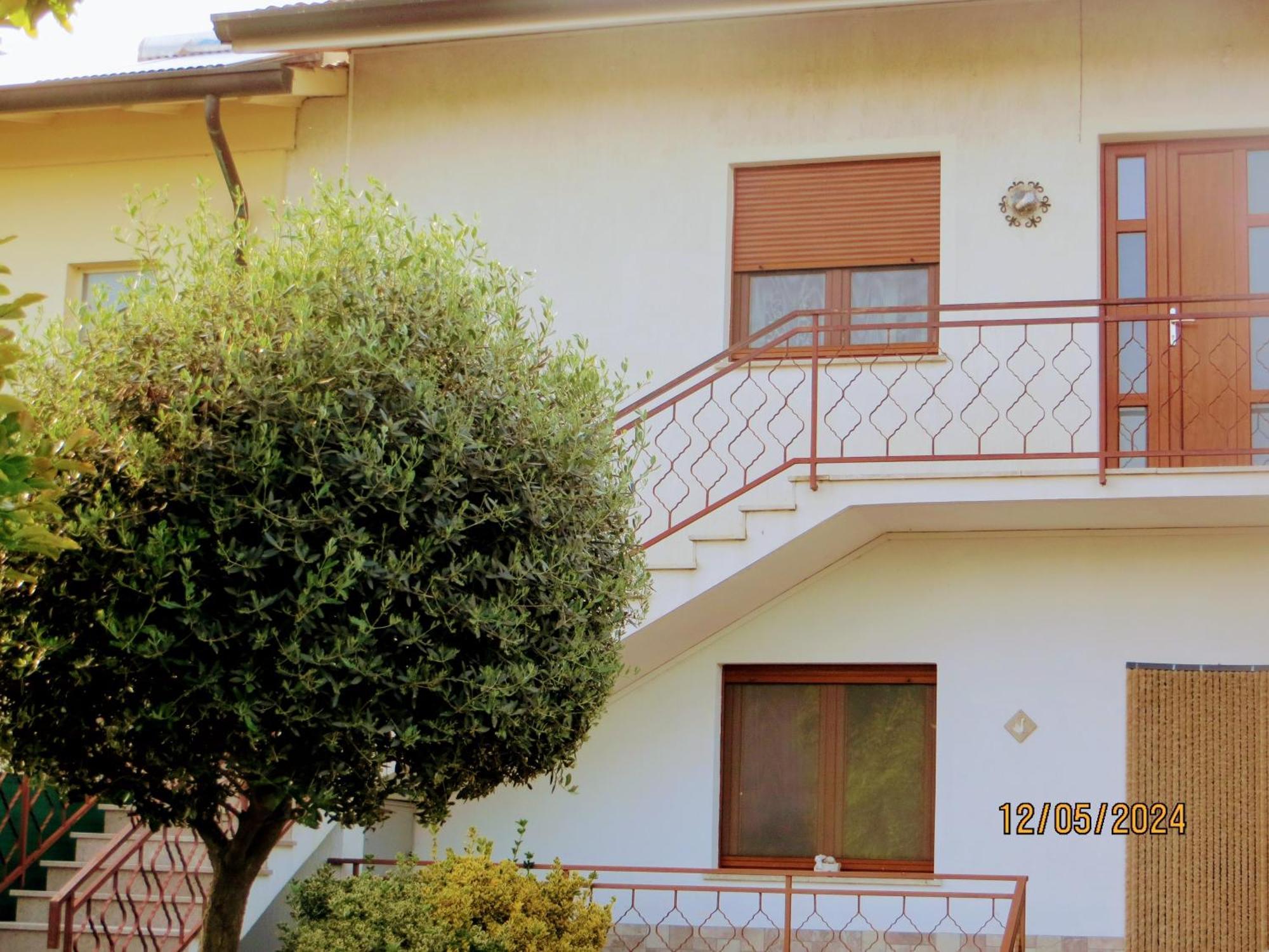5 Palme Bed and Breakfast Terzo d' Aquileia Eksteriør billede